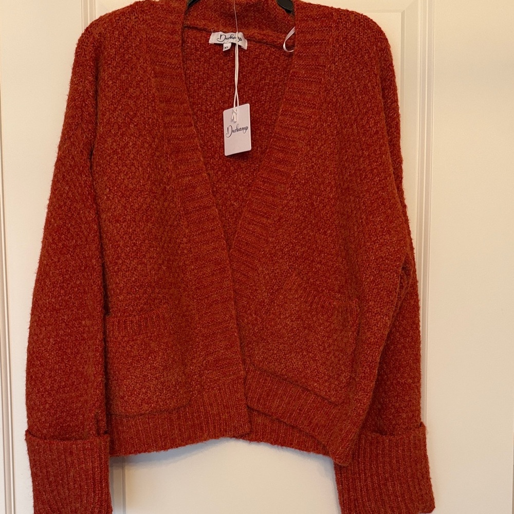 Duchamp sweater in gorgeous russet color in size extra large